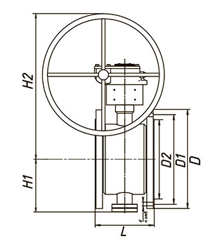 Затвор ЛД с редуктором схема